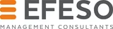 EFESO Management Consulting logo